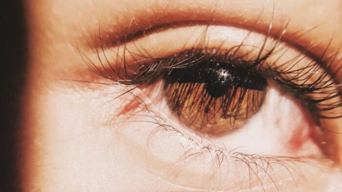 brown eye of anonymous person
