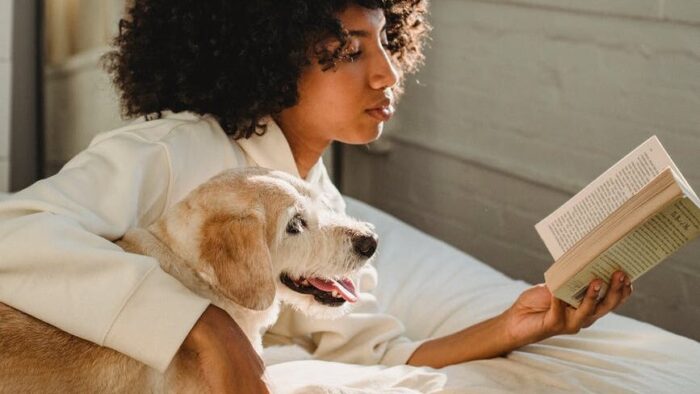 concentrated young black woman cuddling curious obedient dog while reading book ob bed